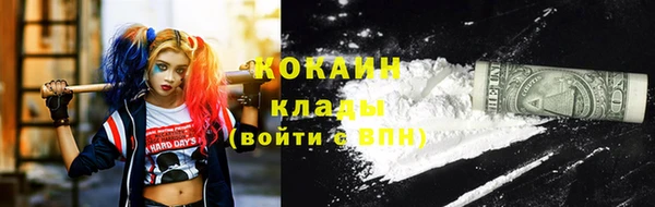 трава Бородино