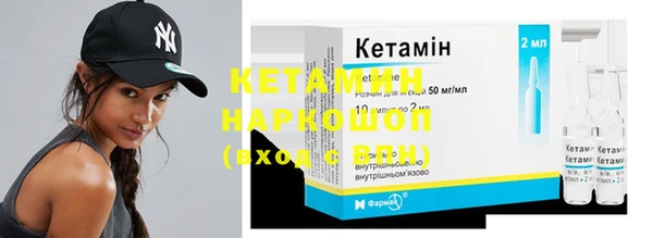 трава Бородино