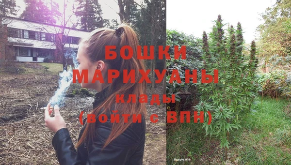 трава Бородино