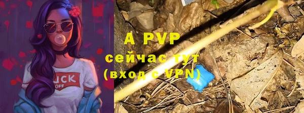 трава Бородино