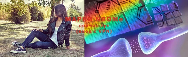 трава Бородино