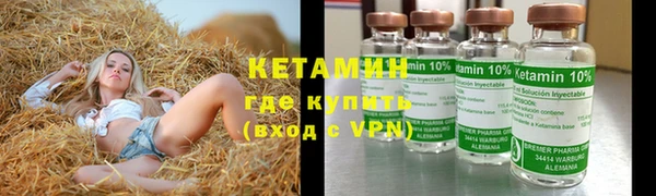 трава Бородино